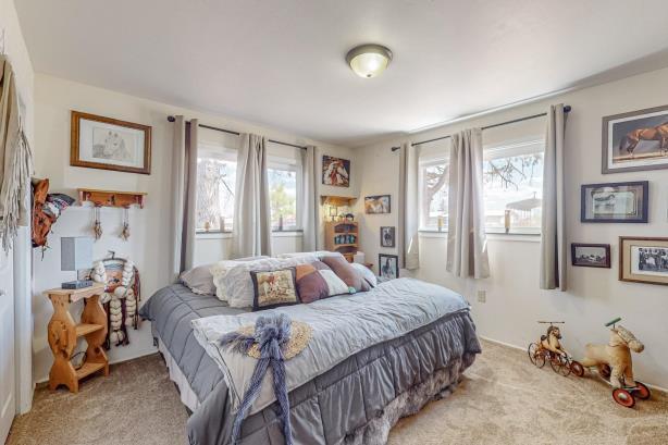 bedroom featuring carpet and multiple windows