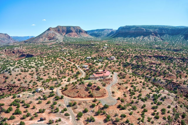 view of mountain feature