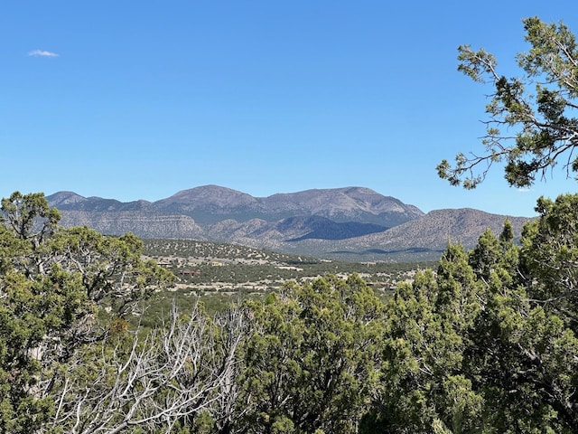 Listing photo 3 for 14 Osito Rd, Sandia Park NM 87047