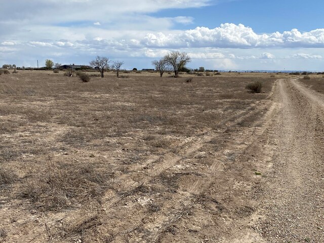 Albert Ln, Mcintosh, NM 87032 - photo 5