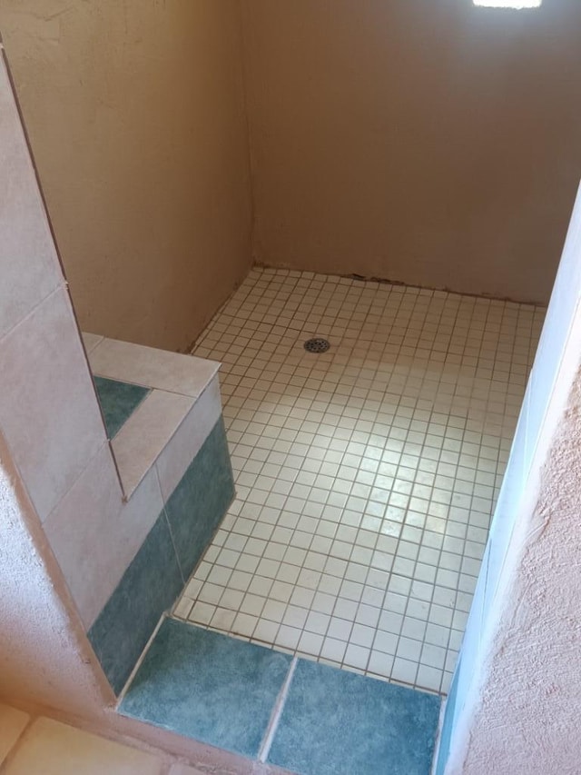 room details featuring walk in shower and tile floors