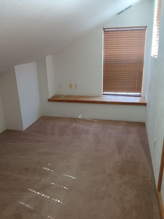 additional living space featuring a textured ceiling, carpet floors, and vaulted ceiling