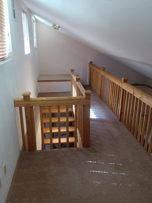 stairway featuring lofted ceiling and carpet floors