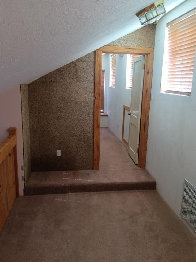 interior space with carpet floors, vaulted ceiling, and a textured ceiling