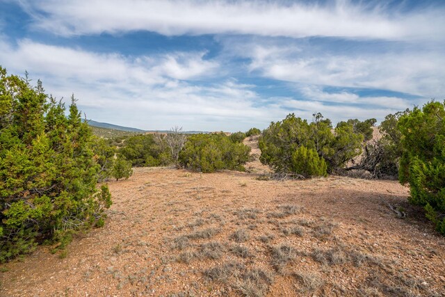 25 Stage Coach Trl, Sandia Park, NM 87047 - photo 4