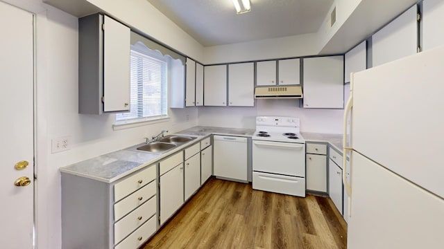 kitchen featuring ventilation hood, sink, light hardwood / wood-style flooring, and white appliances