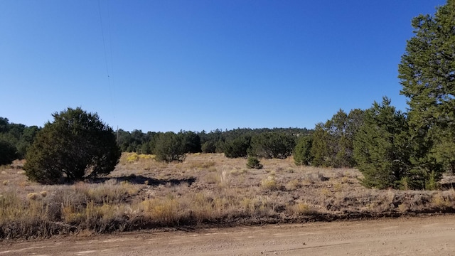 Listing photo 2 for LOT5 Misty Ln, Ramah NM 87321