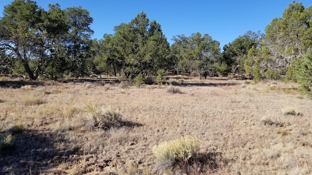 LOT5 Misty Ln, Ramah NM, 87321 land for sale