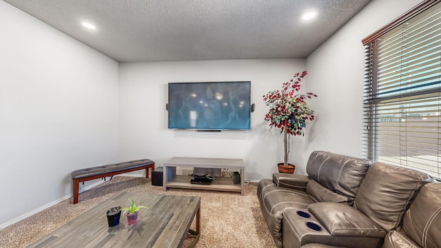 carpeted living room with a textured ceiling