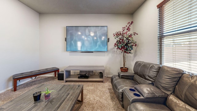 living room with carpet