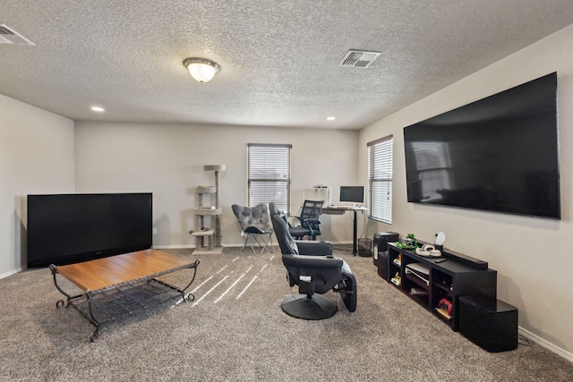 carpeted living room with a textured ceiling