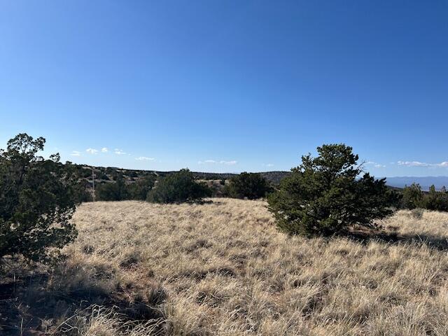 237 Meadows Rd, Placitas, NM 87043 - photo 2