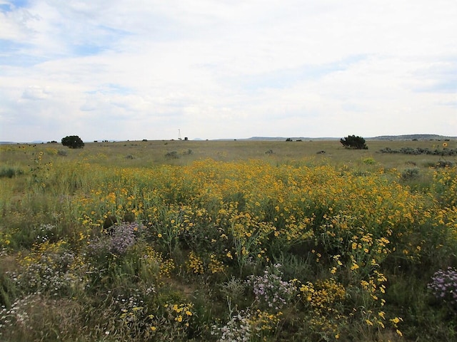 111 Thump Ridge Rd, Ramah, NM 87321