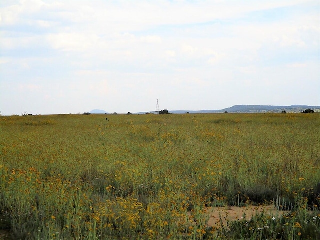 111 Thump Ridge Rd, Ramah, NM 87321