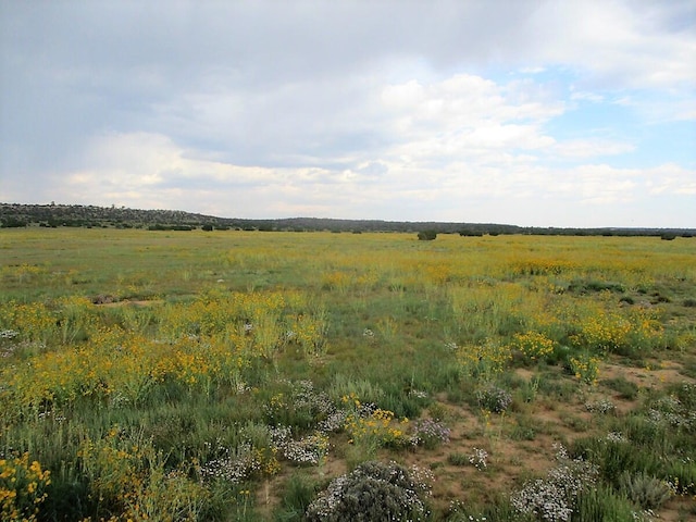 111 Thump Ridge Rd, Ramah, NM 87321