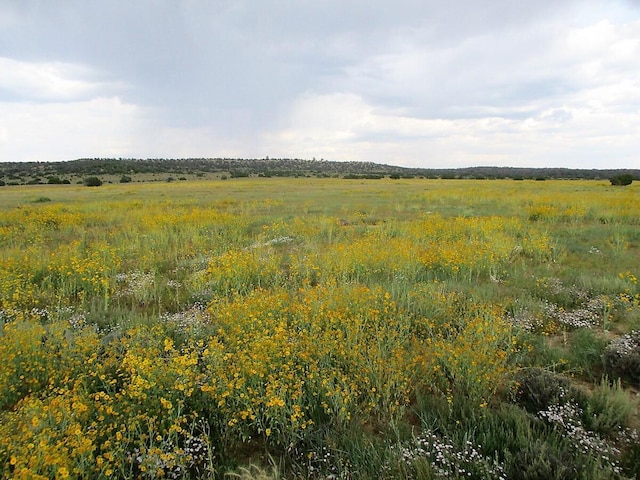 111 Thump Ridge Rd, Ramah, NM 87321