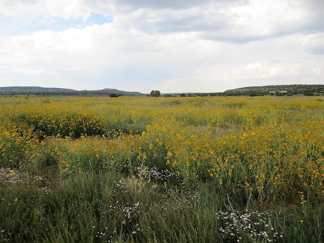111 Thump Ridge Rd, Ramah, NM 87321