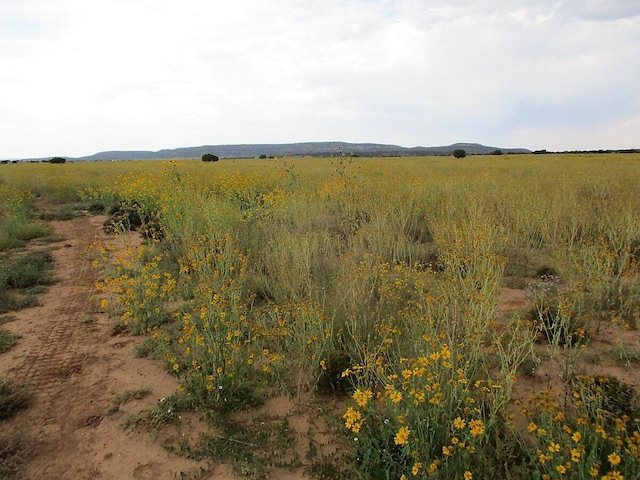 111 Thump Ridge Rd, Ramah, NM 87321
