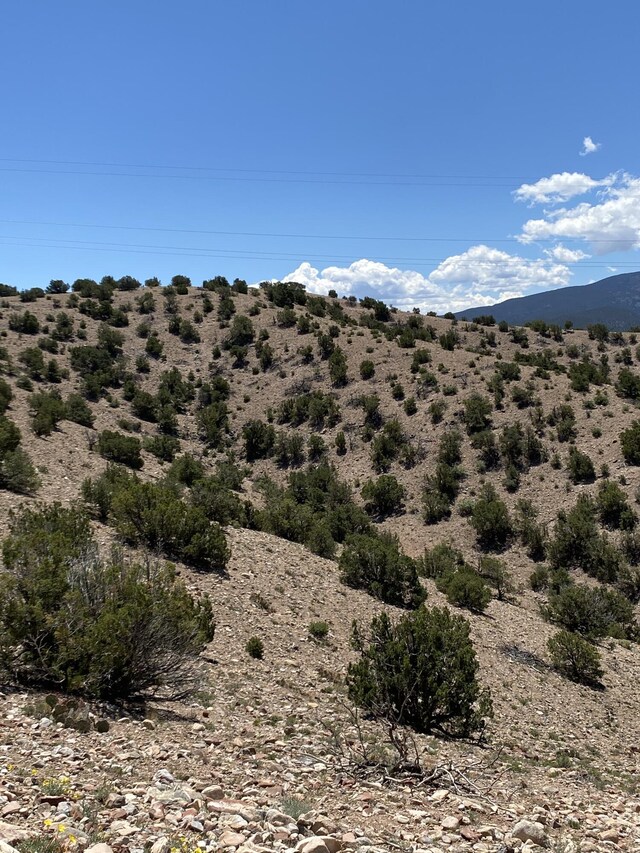 Camino Halcon, Placitas, NM 87043