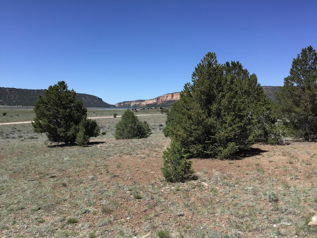 Listing photo 3 for LOT7 Sunflower Dr, Ramah NM 87321