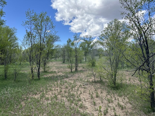 412 S Grand Ave, Las Vegas, NM 87701 - photo 2