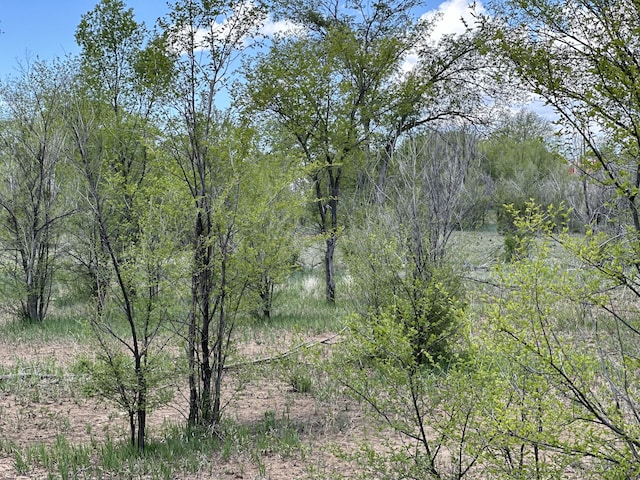 412 S Grand Ave, Las Vegas, NM 87701 - photo 3