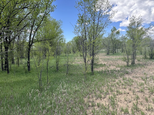 412 S Grand Ave, Las Vegas, NM 87701 - photo 5
