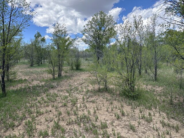 412 S Grand Ave, Las Vegas, NM 87701 - photo 6