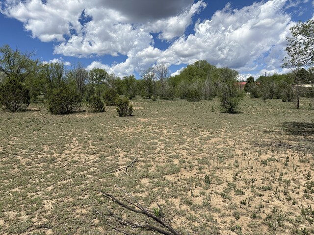 412 S Grand Ave, Las Vegas, NM 87701 - photo 7