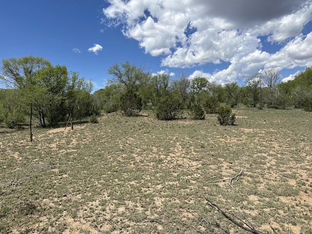 412 S Grand Ave, Las Vegas, NM 87701 - photo 8