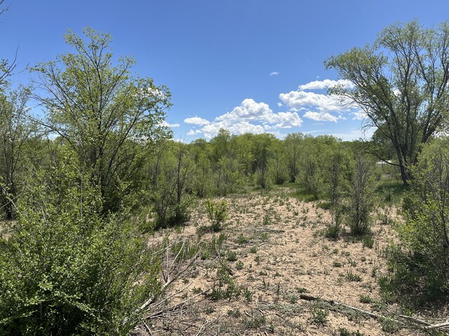 412 S Grand Ave, Las Vegas, NM 87701 - photo 11