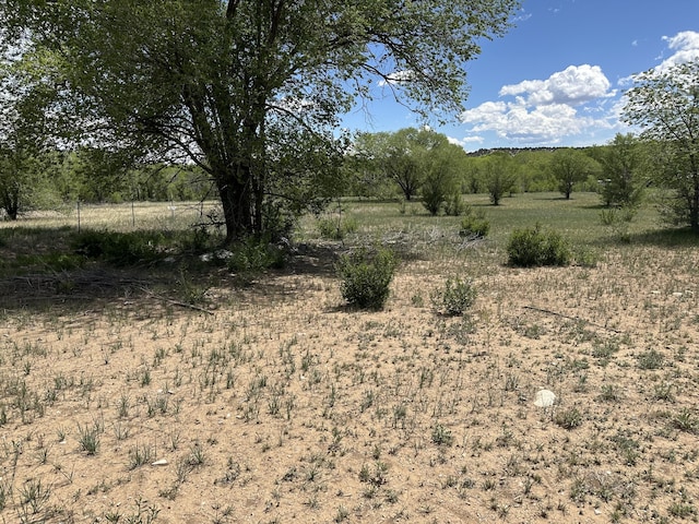 412 S Grand Ave, Las Vegas, NM 87701 - photo 14