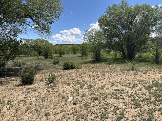 412 S Grand Ave, Las Vegas, NM 87701 - photo 15