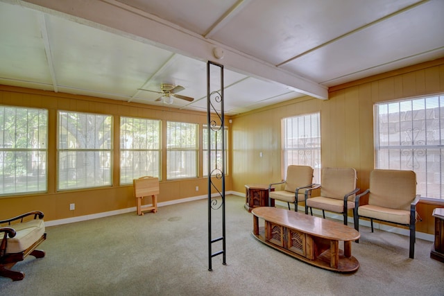 living area featuring beam ceiling, ceiling fan, and carpet flooring