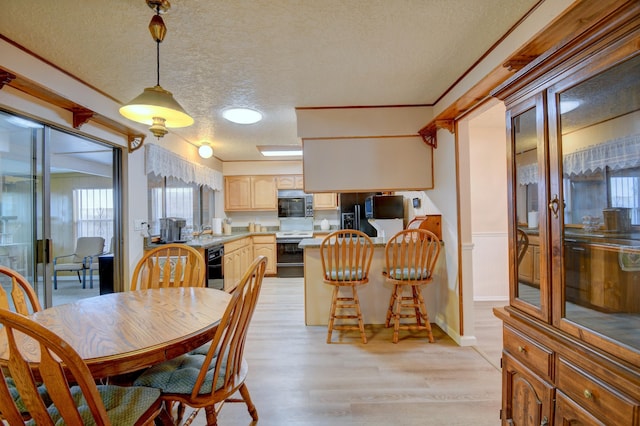 dining room featuring crown molding, sink, light hardwood / wood-style floors, and a textured ceiling