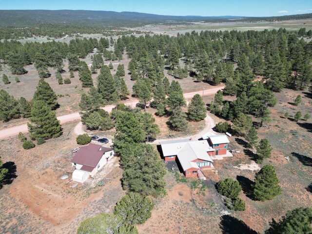 787 Timberlake Rd, Ramah, NM 87321 - aerial view of property and surrounding area