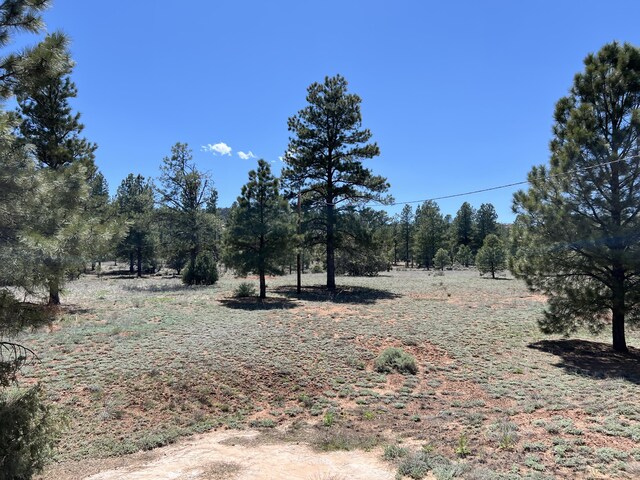787 Timberlake Rd, Ramah, NM 87321 - aerial view of property's location with a heavily wooded area