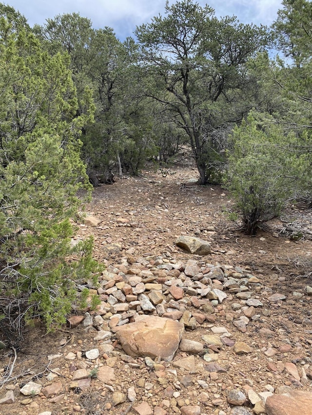 Shasta Ct, Cedar Crest NM, 87008 land for sale