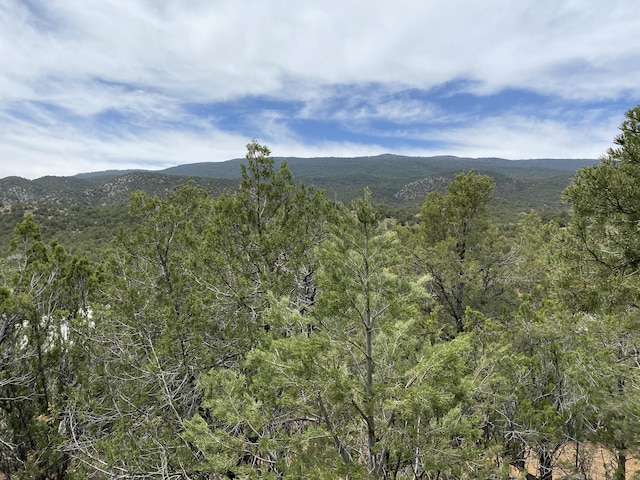 Listing photo 3 for Shasta Ct, Cedar Crest NM 87008