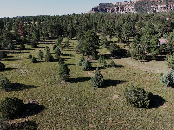 LOT9 Sunrise Way, Ramah, NM 87321