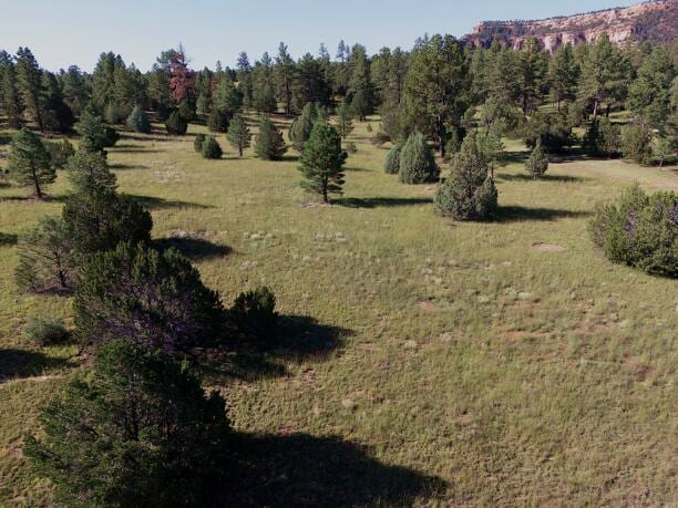 LOT9 Sunrise Way, Ramah, NM 87321