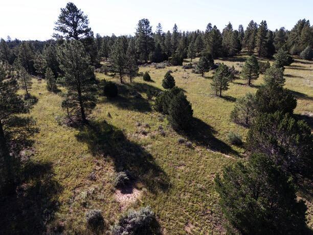 LOT9 Sunrise Way, Ramah, NM 87321