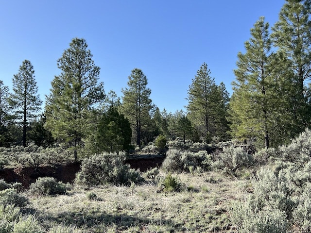 LOT9 Sunrise Way, Ramah, NM 87321