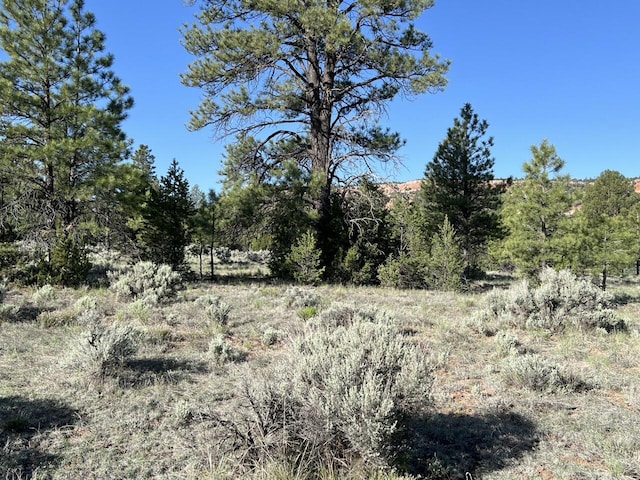 LOT9 Sunrise Way, Ramah, NM 87321