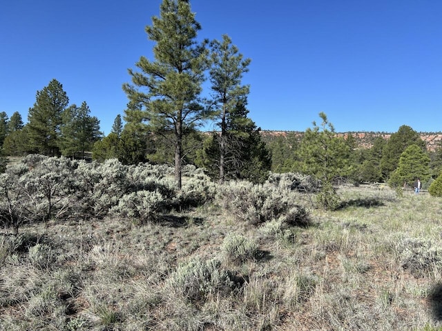LOT9 Sunrise Way, Ramah, NM 87321