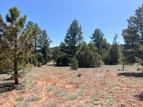 LOT22 Timberlake Rd, Ramah NM, 87321 land for sale