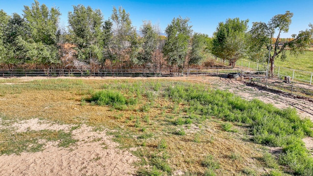 view of yard with a rural view