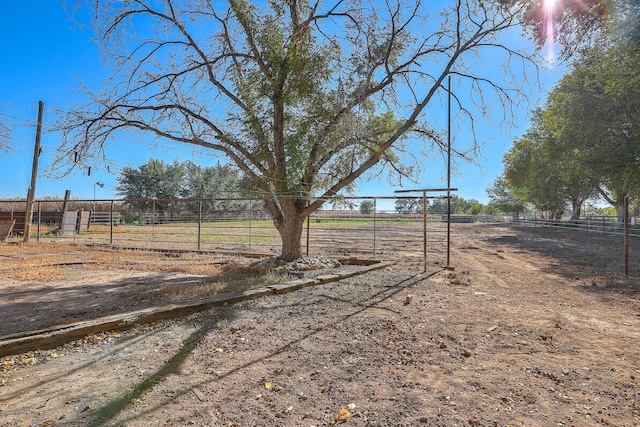 view of yard featuring a rural view