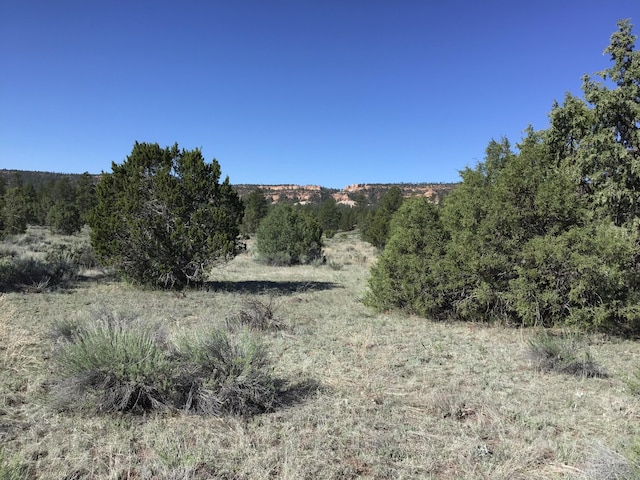 Listing photo 3 for LOT2 E Elk Rd, Ramah NM 87321