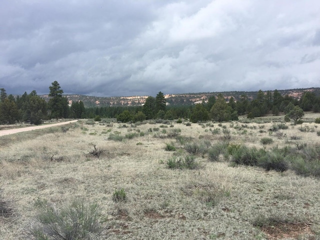 LOT2 E Elk Rd, Ramah NM, 87321 land for sale